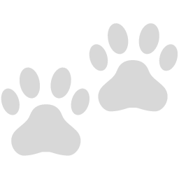 Dog Footstep Icon
