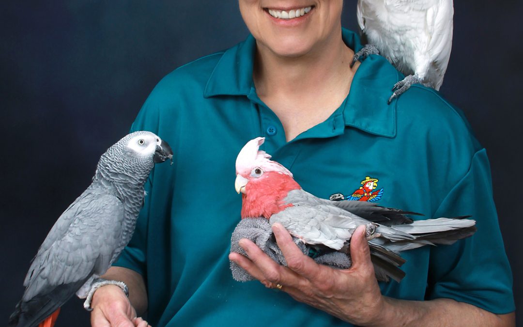 Parrots in a Portrait–You Bet!