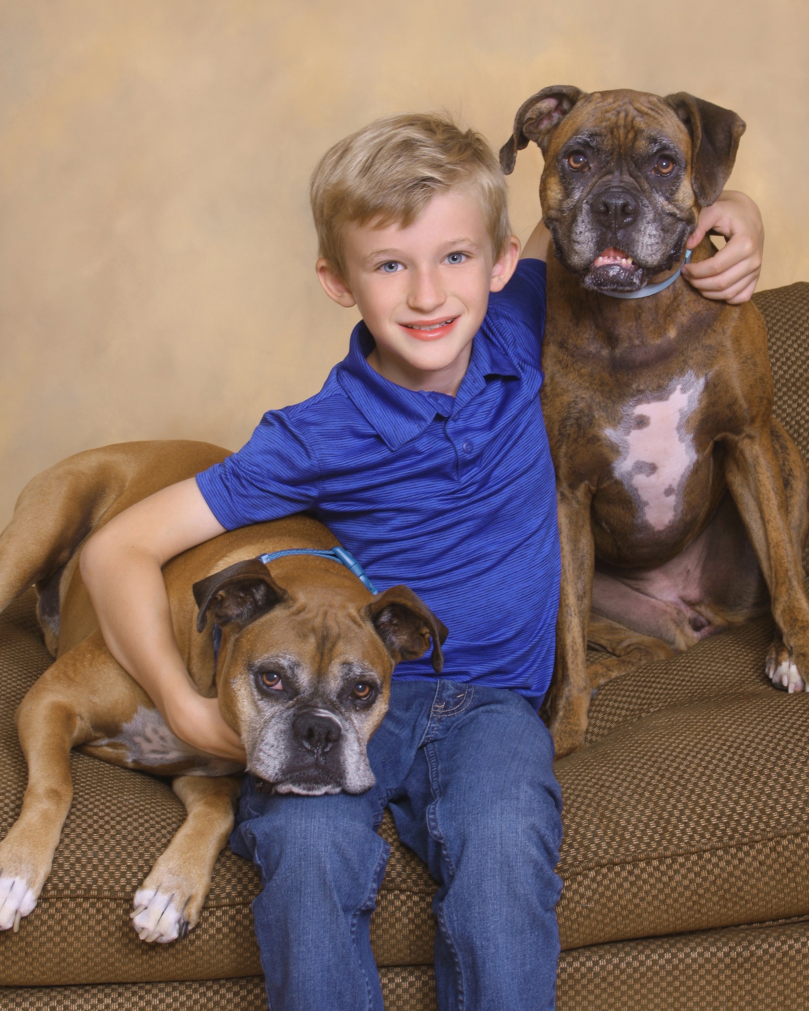 little boy in blue with his arms wrapped around his two boxer mixed dogs